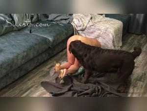 Golden Party: Dog fucks Girl Extreme