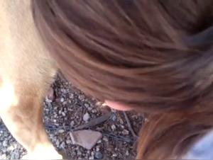 Zoophilia videos with dogs for lovers of bestial sex