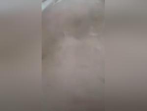 Asian woman and her dog in bestial videos