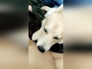 Whitney Wisconsin and her beastly experience