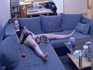 Naughty Bunnies and Cats in Heat: A Beastly Experience