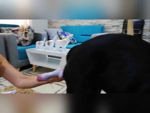 Compilación: Chicas latinas chupe perros grandes