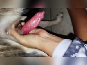 Bestiality Sex with prostitute and dog : sex Videos on the Net