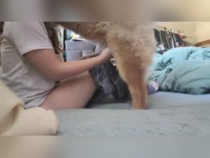 Bestiality sex video: woman and dog