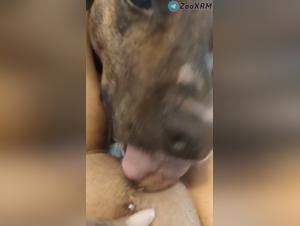 Fille baise chien léchage