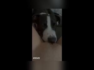 putain sauvage baisée par son chien