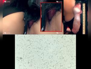 bestiality taboo animaltube