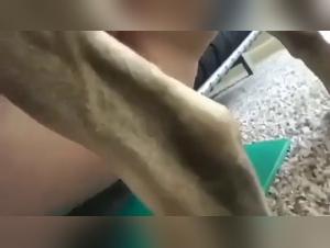 Best Animal XXX Videos: A World of Bestiality Sex in Video