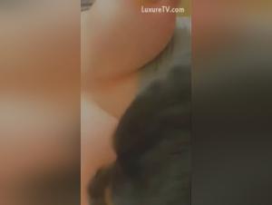 Zoophilia video: dog sucking his mistress's breasts