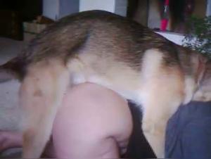 Russin Sklavin - Hund-Lust Reinrassig