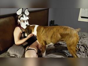 atraccion animal : romance prohibida