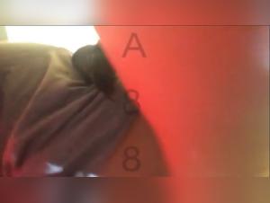 Lise and her canine companion: a bestial and intense encounter