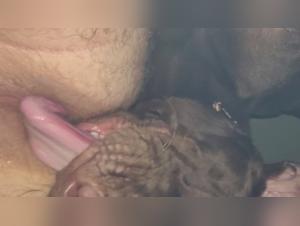 Bestiality: a woman and her dog