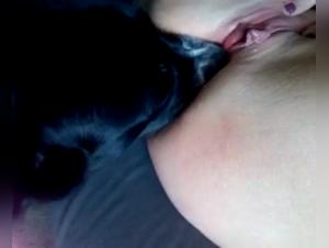 Hot Dog Lover's Delight: A Must-See Bestiality Video