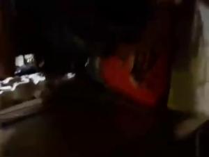 French Submissive in a Sex Scene with a Dog