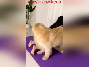 chinese wife, dog play, extreme fetish