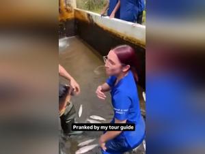 Fischsamenzelle, Tierischer Genuß