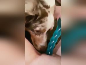 Forbidden Meeting: Woman and Dog