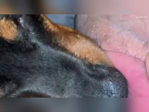 Video of Sex with a Dog