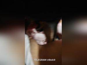 Doggy Homemade Exclusive