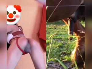 Zoophile collage with a woman and a horse