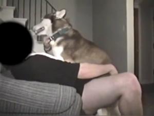 Intimate Video with a Dog