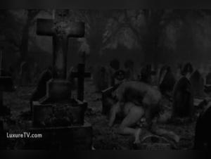 Sex Video with a Pig