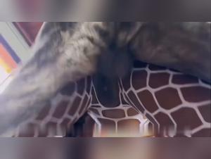 Videos de lesbianas que fecultan a su perro: una pasion por la zoofilia