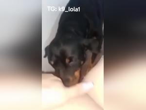 A young woman licked by a dog at home