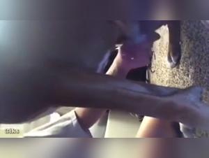 Submissive dog in an extreme zoophilia scene