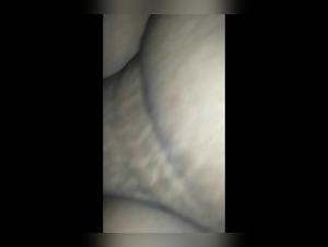 Savage Beauty and Licensed: Beastiality Videos You Won't Want to Miss