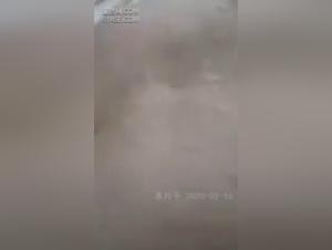 Salope suce son chien: XXX Vidéos Indécente