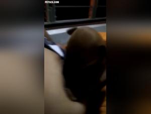 Woman and dog: a forbidden love story