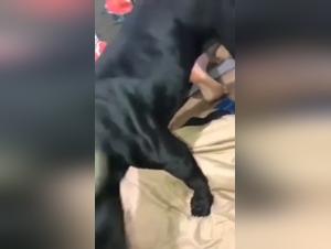 Bestiality: Woman and her dog