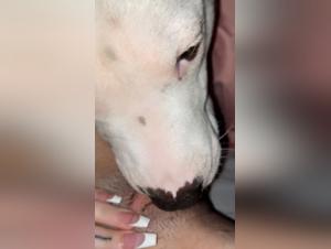 delving into taboo desires