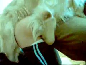 Crazy Horse Woman Dog Part 7
