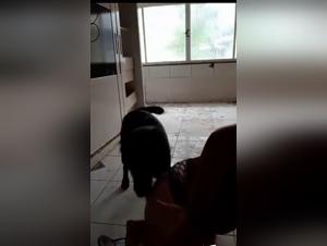 Viernes por la noche con mi perro - Sexo animal