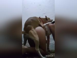 The Most Passionate Slut: Sex with her Dog