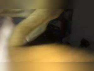 Creampie Zoo: A Beastly and Extreme Experience