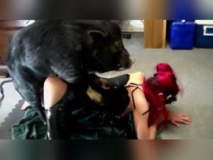 Bestialité avec un cochon : une femme dans une scène hardcore