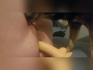 Hot Dog 22 - Un encuentro bestial y excitante en video