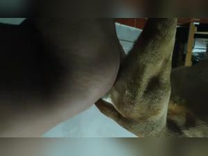 A liberated woman's animal sex story that will leave you breathless