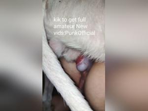 New sex videos with dogs