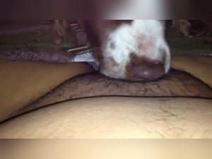 Webcam Bitch Fucked, Dildo in Ass