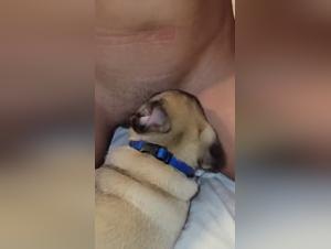 Amateur woman and her dog in a shocking bestiality video