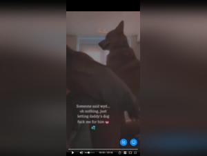 Sex with a dog: a beastly and extreme experience