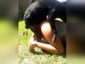 girl sucks dog