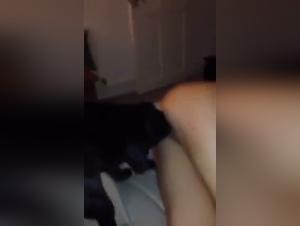 Salope baise son chien vidéo XXX