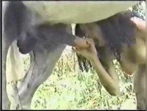 Brazilian Bestiality: Woman and Horse