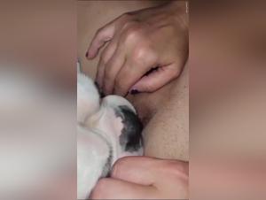 dog sex fantasies : lambidas unleashed